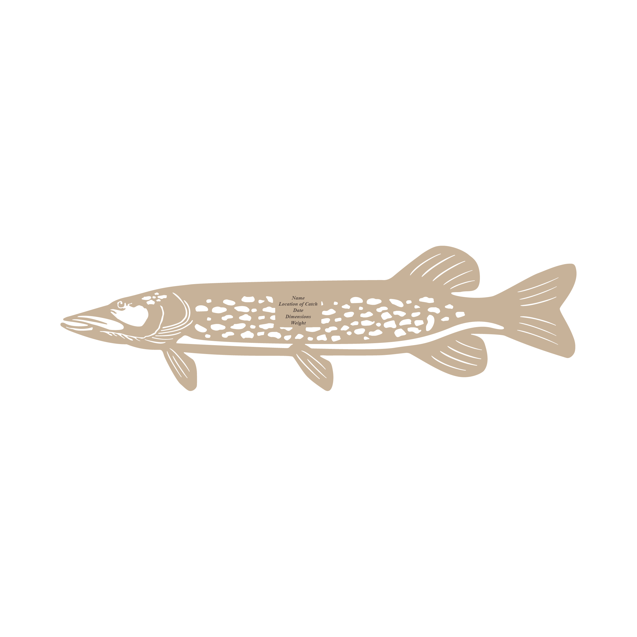 Baltic Birch Northern Pike Mount
