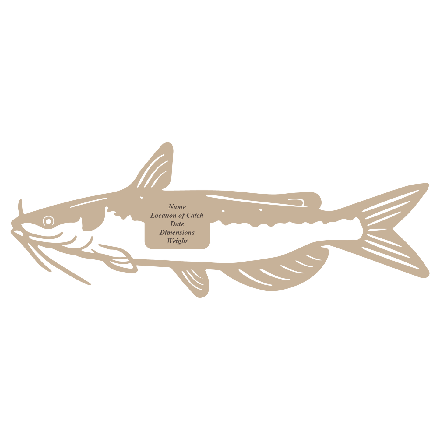 Baltic Birch Channel Catfish Mount