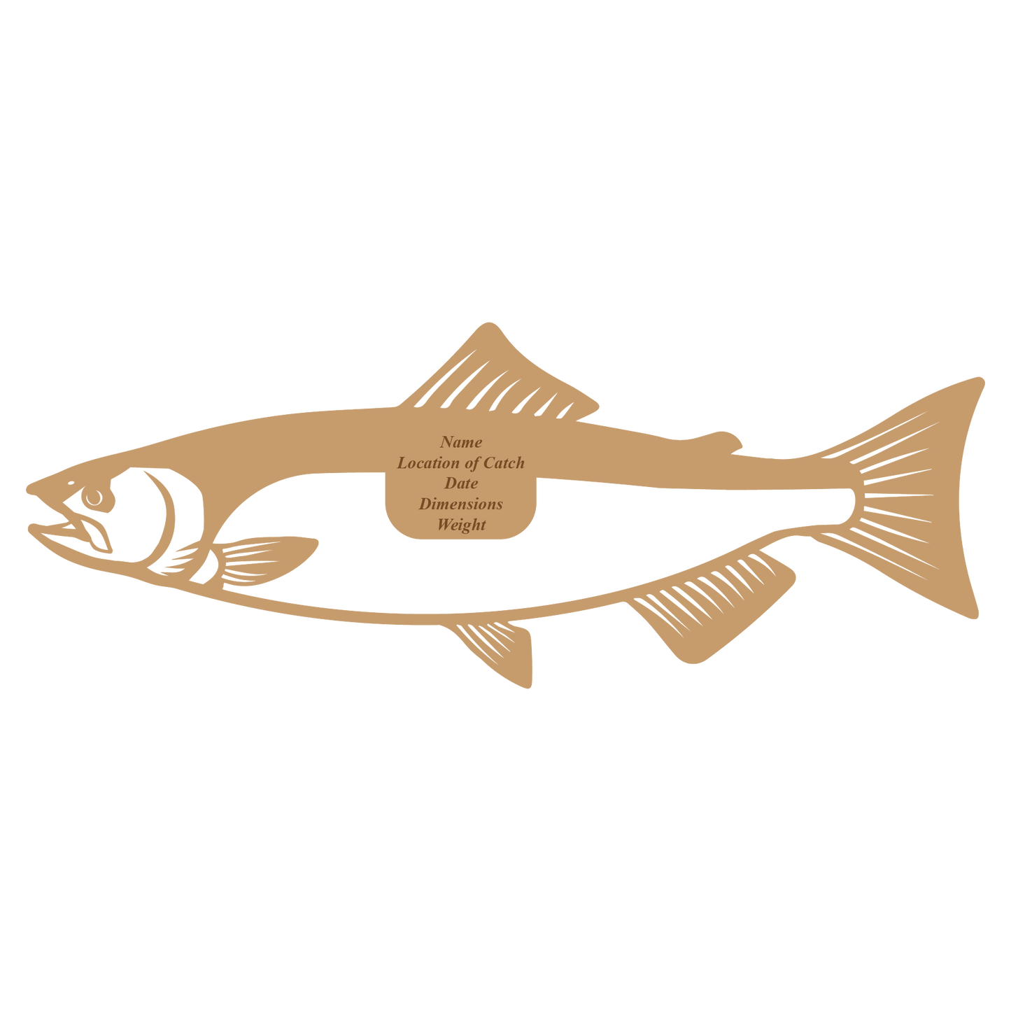 MDF Coho Salmon Mount