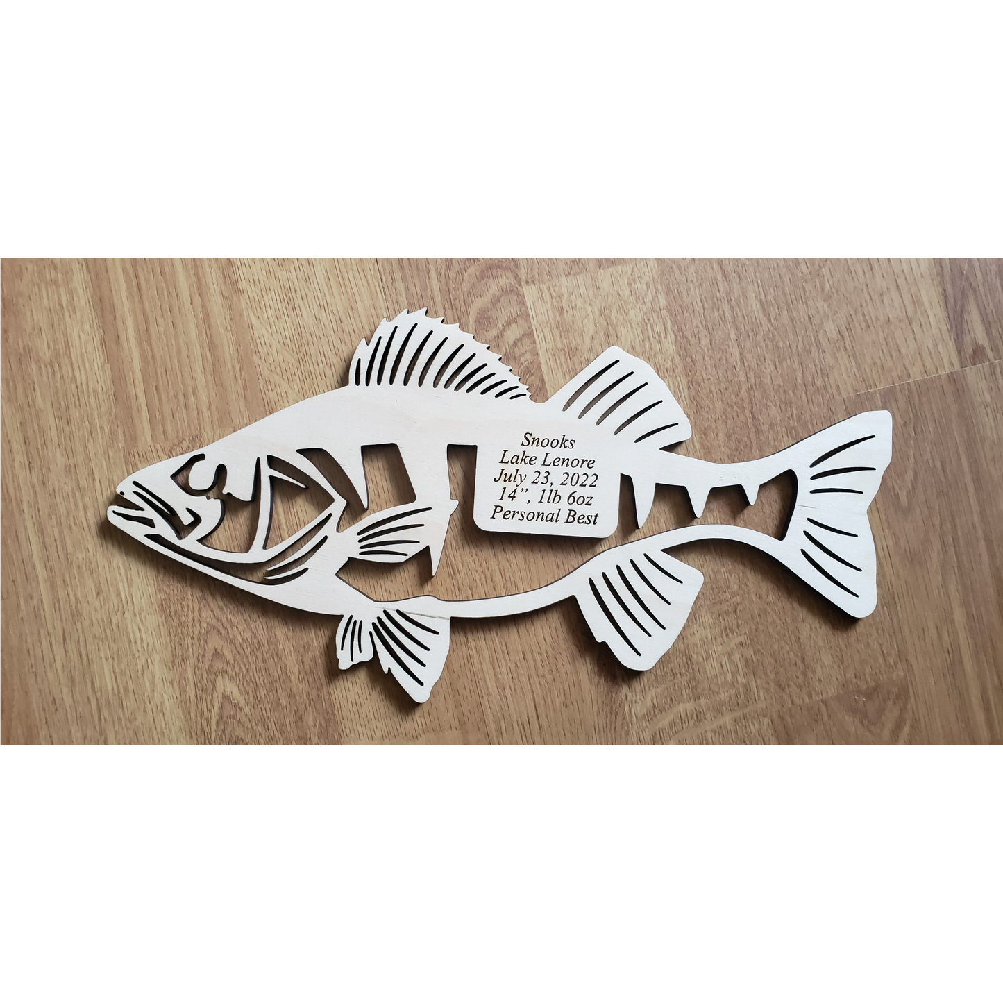 Premium Acrylic Perch Mount