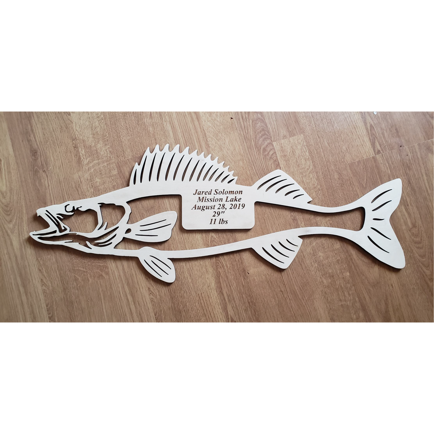 Premium Acrylic Walleye Mount