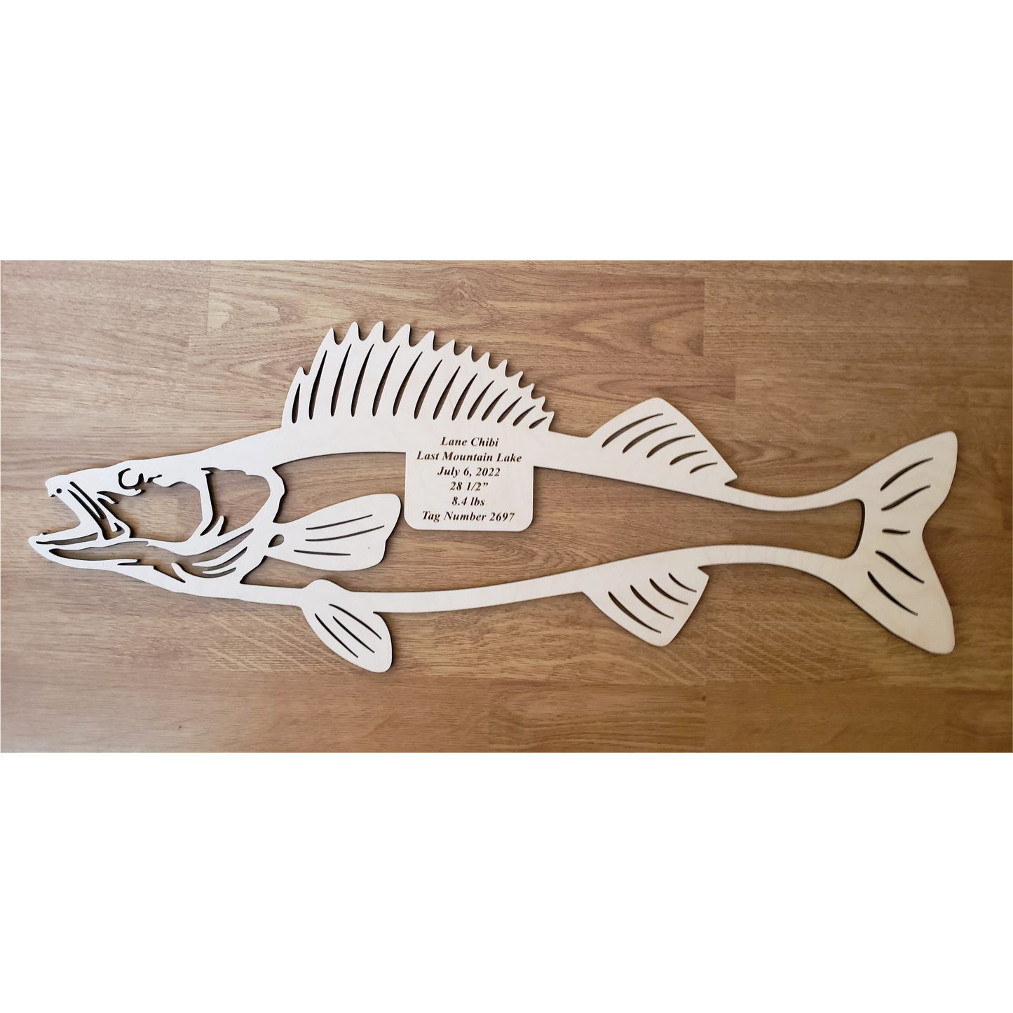 Baltic Birch Walleye Mount