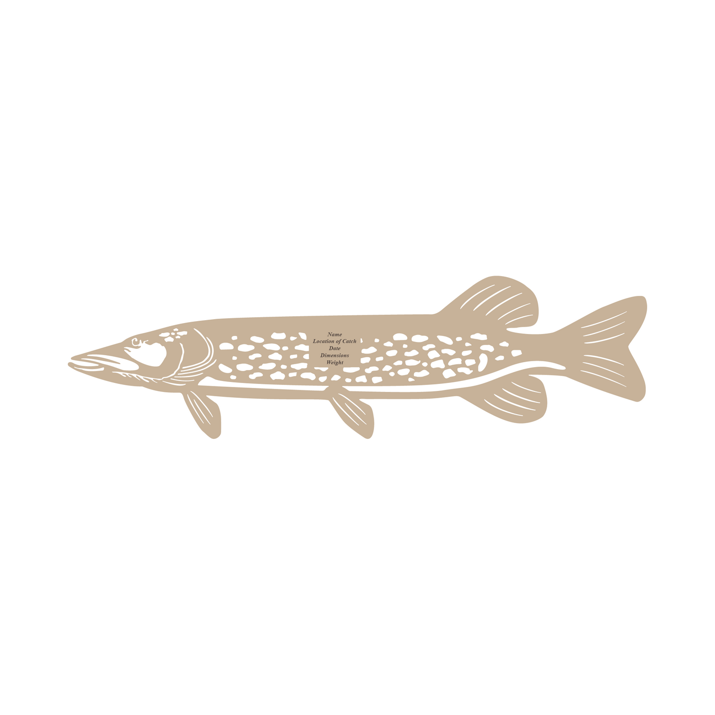 Baltic Birch Northern Pike Mount