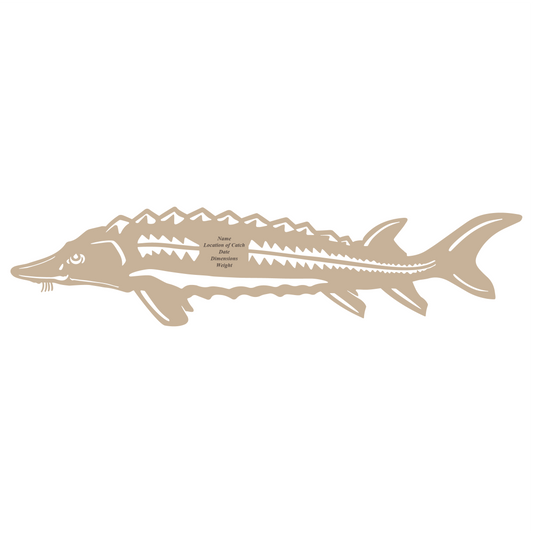 Baltic Birch Sturgeon Mount