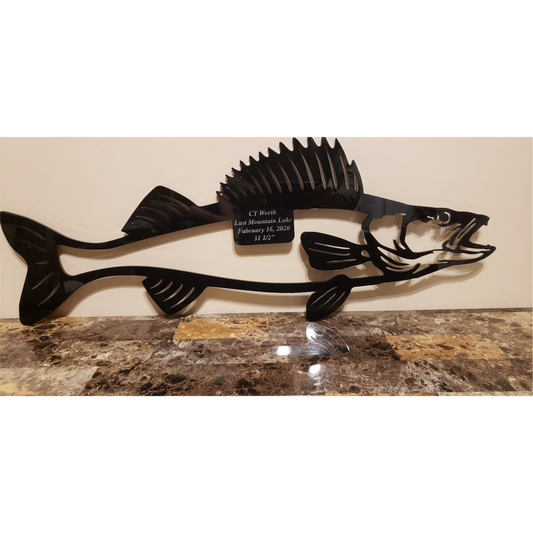 Premium Acrylic Walleye Mount